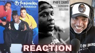 FuSchnickens quotLa Schmoovequot feat Phife Dawg REACTION [upl. by Atsedom]