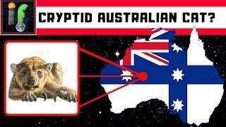 CryptozoologyMystery Australian Big Cats [upl. by Walston]