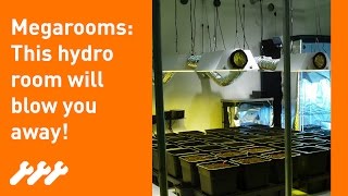 How to setup an indoor Hydroponic mega grow room 30 [upl. by Leonidas]