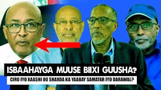 Xog Muuse Biixi Talaabo Guusha Siinaysa Qaaday Isbahaysiga ka adkaaday kaah iyo Waddani sababta [upl. by Nolahp]