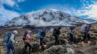 Expedition Kilimanjaro  most beautiful Lemosho Route [upl. by Hannej]