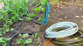 Soaker Hose Vs Garden Hose Which One Should You Use 2024 [upl. by Dnalrah830]