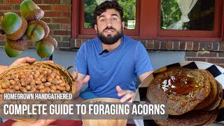 How to Sustainably Forage and Cook Acorns Acorn Flour Pancakes [upl. by Deragon]