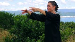 Modules 1  5 Review  Tai Chi 5 Minutes a Day [upl. by Epillihp219]