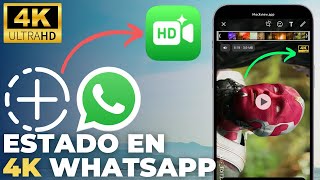 Por qué mis estados en Whatsapp se miran borrosos o con baja resolución [upl. by Ybor601]