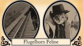 Flugelhorn Feline [upl. by Moraj]