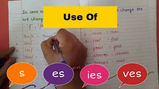 Singular and Plural Nouns  How to add s es ies ves to the Nouns [upl. by Myca857]