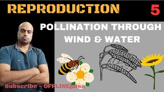 POLLINATION THROUGH ABIOTIC AGENTS [upl. by Caren655]