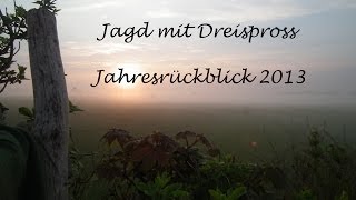 Jagd 2013  Jahresrückblick auf Drückjagd und mehr [upl. by Sherri]