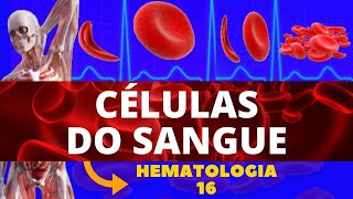 CÉLULAS DO SANGUE E SUAS FUNÇÕES COMPOSIÇÃO SANGUÍNEA  HEMATOLOGIA [upl. by Bohlen]