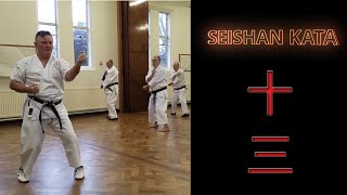 Seishan Kata and Kaisetsu  Bunkai  Wado Ryu Karate [upl. by Yeltsew]