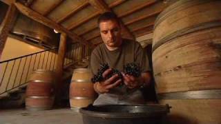 Discover The Wines of the Rhone Valley Part 3 of 3 [upl. by Jair250]