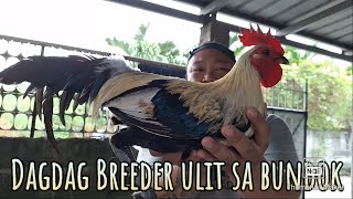 Dagdag batch ulit ng breeder sila Tito sa bundok [upl. by Godwin]