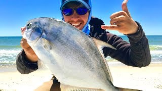 Chasing BIG Pompano  Tournament Pompano Fishing [upl. by Notnirt272]