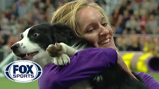 Pnk the border collie wins backtoback titles at the 2019 WKC Masters Agility  FOX SPORTS [upl. by Eirena]