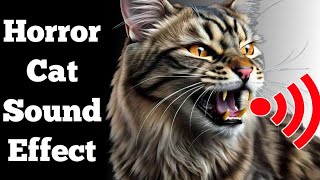 Horror Cat Sound  Aggressive cat sounds [upl. by Greg234]