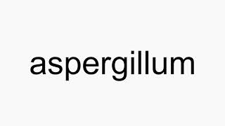 How to pronounce aspergillum [upl. by Mcintyre397]