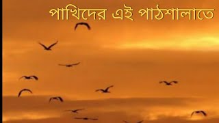 পাখিদের ঐ পাঠশালাতে। ছোটদের গান। pakhider oi pathshalate chotoder gaan [upl. by Eyahc]