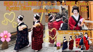 芸鼓さんと舞妓さんめっちゃ綺麗 4k Geiko maiko maiko geiko 舞妓 [upl. by Cartie100]