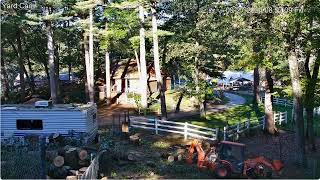 Goldys841am Tree workers put tractor paddock area begin Debris Cleanup9amish Janine cabin 9272024 [upl. by Aciamaj]