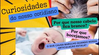 ⭐⚫Curiosidades do nosso cotidiano Por que nosso cabelo fica branco Por que bocejamos [upl. by Tybald]