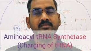 Aminoacyl tRNA Synthetase Part I ChargedtRNA [upl. by Taylor]