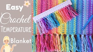 The ULTIMATE Temperature Blanket Guide amp Pattern [upl. by Nnyllaf]