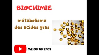 Biochimie Métabolisme des acides gras [upl. by Ekle435]