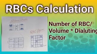 RBCs Calculation Formula hematology microscope dmlt Bsmlt [upl. by Nigel]