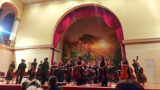 Ceman  Central European Academies Network Orchestra  concerto a Budapest [upl. by Selma]