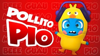 🐣 El Pollito Pio 🐥 Il Pulcino Pio 🐤 Official cover by Baby Moonies [upl. by Amarillis]