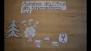 C14Methode  Explainity  Radiokarbonmethode Radiokohlenstoffmethode Altersbestimmung mit C14 [upl. by Anahsal153]