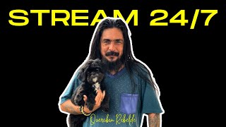 Querubin Rebelde LIVE 247 Stream [upl. by Mallon]