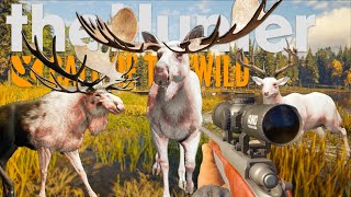 OMG I hunted 3 Very rare animals in 6min [upl. by Hoppe760]