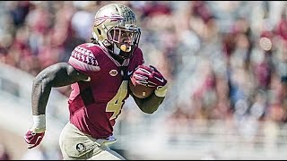 Ultimate Dalvin Cook Highlights  HD [upl. by Peedsaj]