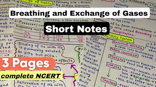 Breathing and Exchange of Gases  Short Handwritten Notes  NEET 2025 biology neet2025 [upl. by Nirahs666]