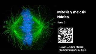 Mitosis y meiosis Parte 2 Hernán Aldana [upl. by Kries]