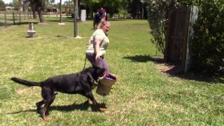 ARC Beaucerons  Luke working in protection [upl. by Ioj]