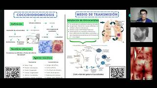 COCCIDIOIDOMICOSIS GRUPO D1 MICROBIOLOGÍA [upl. by Meek]