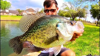 The CRAPPIE that is KING OF THE POND [upl. by Nnateragram]