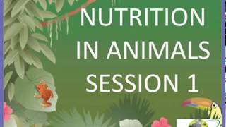 Nutrition in animals s1 for class 7 CBSEWorksheets on nutrition in animals link in description [upl. by Hamilah556]