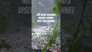 Hailstorm relaxing nature relaxingsounds naturesounds hailstorm hail [upl. by Ecnesse]