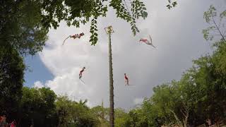 VIDEOS RANDOM Los Voladores de Papantla [upl. by Larrabee]