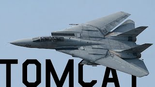 F14 Tomcat Edit  One Chance [upl. by Brigida]