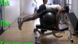 Stability Ball Reverse Back Extensions  Lower Back Exercise [upl. by Dachi]