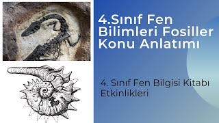 4Sınıf Fen Bilimleri Fosiller Konu Anlatımı [upl. by Sholem424]