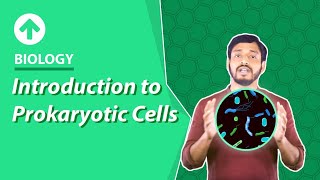 Introduction to Prokaryotic Cells  Hindi  Biology [upl. by Filberto]