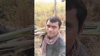 Chhathi Mai Ke karab Hum baratiya song bhojpur bhojpurisong [upl. by Kramer]