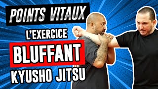 Points vitaux  Lexerice bluffant pour tester votre énergie Kyusho jitsu N°2 [upl. by Shantha992]