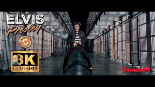 Elvis Presley  Jailhouse Rock 8K ⭐Live From The Jail UHD ⭐ 1957 AI Colorized Enhanced [upl. by Terchie]